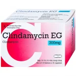 Clindamycin Eg 300Mg Hộp 10 Vỉ X 10 Viên Nang Cứng Pymepharco