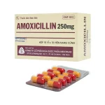 Amoxicillin 250mg hộp 10 vỉ x 10 viên nang Mekophar