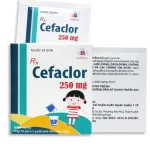 Cefaclor 250Mg Hộp 10G X 2G Domesco