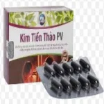 Kim Tiền Thảo Pv Hộp 5 Vỉ X 10 Viên Nang Phúc Vinh