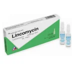 Lincomycin 600Mg/2Ml Hộp 10 Ống Tiêm X 2Ml Vĩnh Phúc