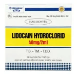 Lidocain 40Mg/2Ml Hộp 100 Ống Tiêm X 2Ml Hdpharma
