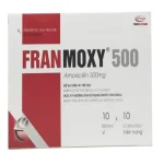 Franmoxy 500 Hộp 10 Vỉ X 10 Viên Nang Eloge