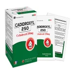 Cadidroxyl Cefadroxil 250Mg Hộp 14 Gói X 3G Usp