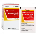 Amoxicillin 250Mg Imexpharm (H/12G/1Gr) (Gói), Kiện 80H