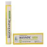 Bozypaine Ngậm Ho Tube 24 Viên Boston