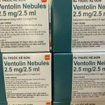 Ventolin Nebules 2.5mg/2.5ml Hộp 4 vỉ x 5 ống