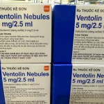 Ventolin Nebules 5mg/2.5ml Hộp 4 vỉ x 5 ống